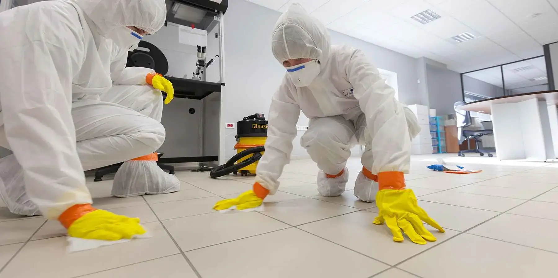 مكافحة حشرات بحائل